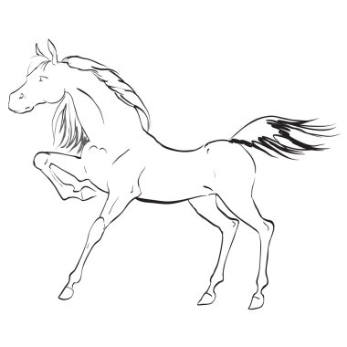 fındık vektör set