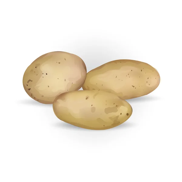 Patates vektör kahverengi çiftlik — Stok Vektör