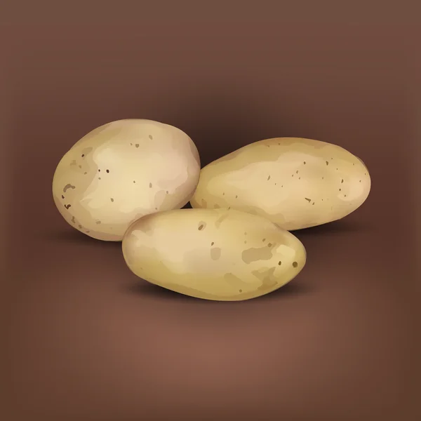 马铃薯矢量棕色农场 — 图库矢量图片