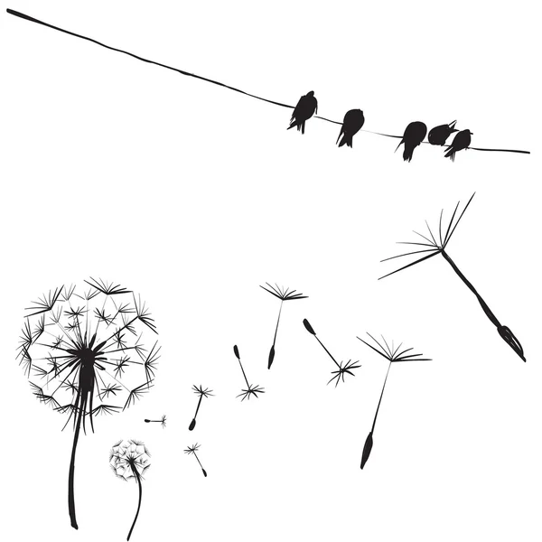 Silhouettes d'oiseaux et de fleurs pissenlit, oiseaux sur fils, vect — Image vectorielle