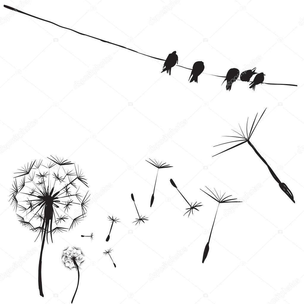 silhouettes of birds and flowers dandelion, birds on wires, vect