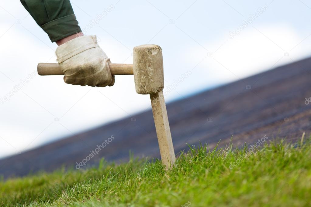 Landscaper worker fixing rolled sod grass turf on soil