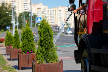 Belediye işçisi su tankı kamyonuyla katil ağaçları suluyor.