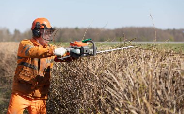 Çit Kesme Hizmetleri. Profesyonel Bahçıvan Üniformalı ve İşitme Koruyucu Kulaklıklı İşçi Hedgerow 'u Gas Power Clipper ile buduyor.