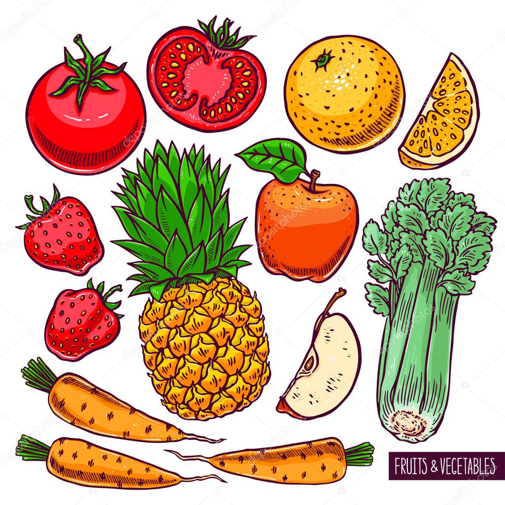 Set di colorata frutta e verdura illustrazione disegnata a mano — Vettoriali di Grey ant
