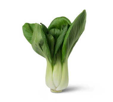 Beyaz arka planda izole edilmiş sebzeler. Sağlıklı gıda konsepti.