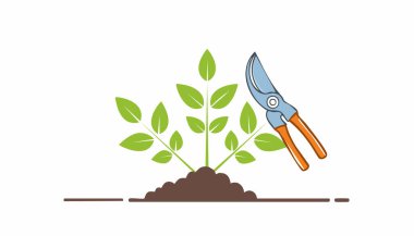 Turuncu makaslı bahar budama sahnesi. Düzenli çit ve gür yapraklar için kesme sapları.