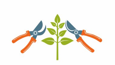 Bahçe aletleri, güçlü büyüme ve canlı yeşillikleri teşvik eden düzgün bahçe tasarımı için ince dalları kesiyor