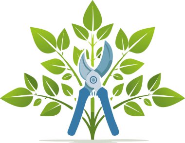 El budama makası yapraklı çalıların dallarını kesiyor bahçe bakımı ve bitki şekillendirme sembolü.