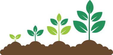 Genç filizler sağlıklı bitkilere dönüşüyor. Doğal gelişim ve yaşam döngüsü filizlenmeden olgunluğa kadar büyümeyi sembolize ediyor.