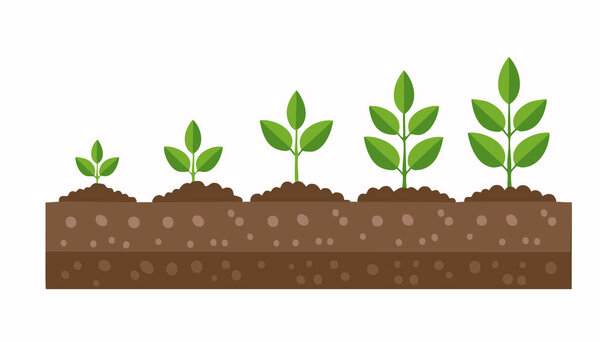 Свежие молодые растения медленно расширяются в сильную зеленую листву, символизирующую прогресс природы.