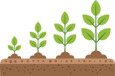 Tohumdan tohuma, temiz ve temiz bir tasarım ile toprakta filizlenmenin basit bir örneği.