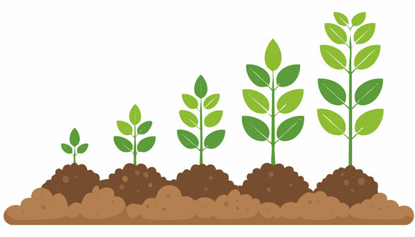 Минималистская иллюстрация, изображающая стадии роста растений в почве, подчеркивающая корни, стебель