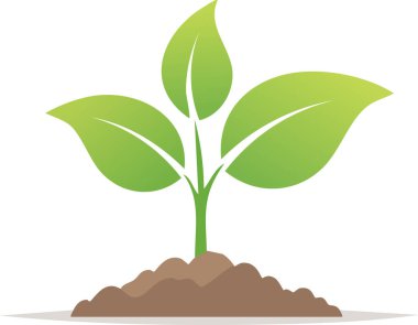 Karanlık topraktan yükselen küçük filizler, doğal gelişimin ve sürdürülebilirlik tarımını temsil eden organik yetiştirmenin umudunu gösteriyor.