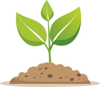 Zengin topraktan çıkan genç yeşil bitki doğal büyüme yenilenmesini ve çevresel bakımı sembolize ediyor.
