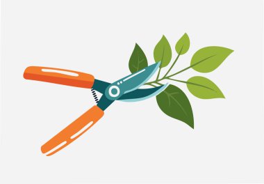 Modern karikatür tarzı bahçe sahnesi. Metal budama makası taze yaprakları buduyor.