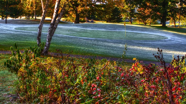 Cores de queda no campo de golfe em hdr — Fotografia de Stock