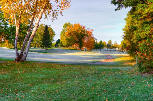 Fall Colors at the Golf Course. — Stock Photo, Image