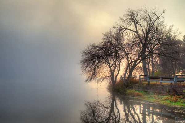 HDR paisagem místico nevoeiro cena — Fotografia de Stock