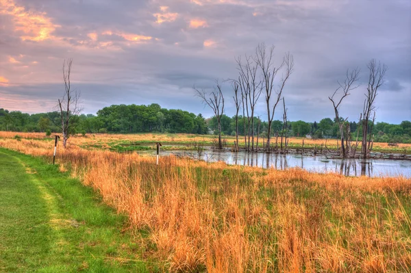 Uma paisagem HDR de um lago no prado — Fotografia de Stock