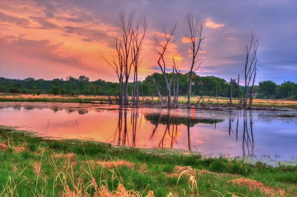 En Hdr landskap med en sjö på ängen i mjukt fokus — Stockfoto