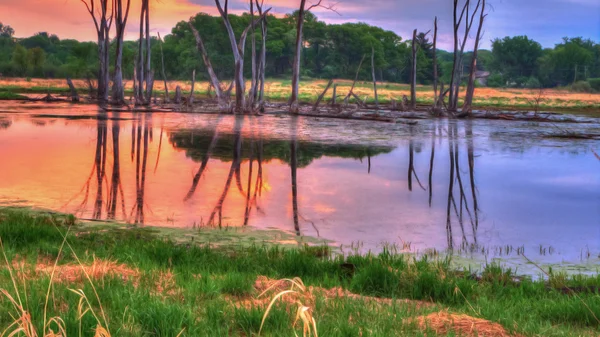 Uma paisagem HDR de um lago no prado — Fotografia de Stock