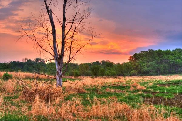 Ένα τοπίο hdr — Φωτογραφία Αρχείου