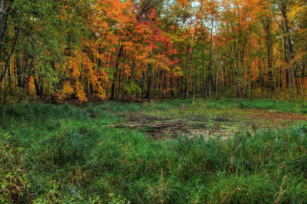 Bunte landschaftliche Landschaft in hdr — Stockfoto