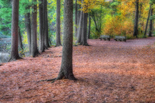 Paisagem cênica colorida em HDR — Fotografia de Stock