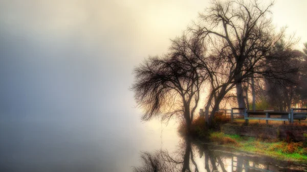 HDR paisagem místico nevoeiro cena — Fotografia de Stock