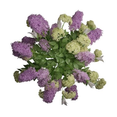 Beyaz arkaplanda izole edilmiş çiçek 3d illüstrasyonu