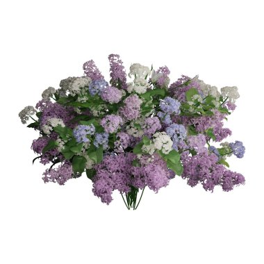 Beyaz arkaplanda izole edilmiş çiçek 3d illüstrasyonu