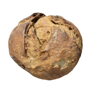 Ekmek 3d illüstrasyon beyaz arkaplanda izole