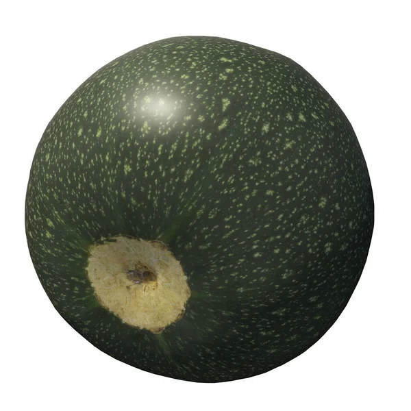 Illustrazione Zucchine Isolata Sullo Sfondo Bianco — Foto Stock