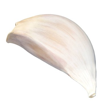 Beyaz arkaplanda sarımsaklı 3D çizim