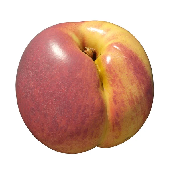 Peach Illustration Isolated White Background — Stock Photo, Image