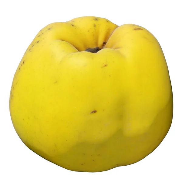 Quince Illustration Isolerad Den Vita Bakgrunden — Stockfoto