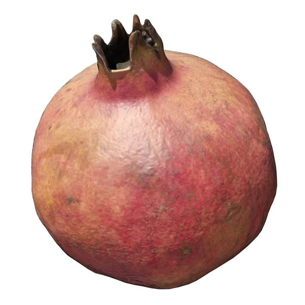 Granatäpple Illustration Isolerad Den Vita Bakgrunden — Stockfoto