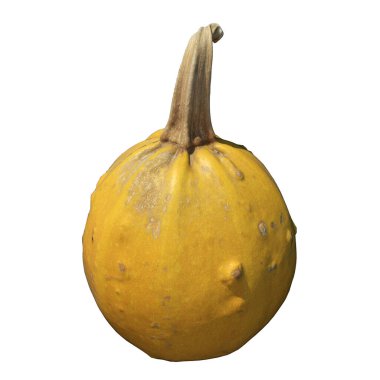 Beyaz arkaplanda kabak üç boyutlu görüntü izole edildi