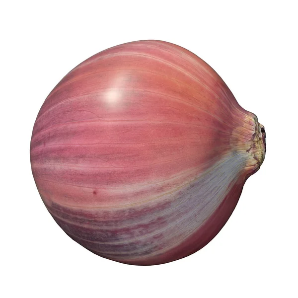 Onion Ilustração Isolado Fundo Branco — Fotografia de Stock