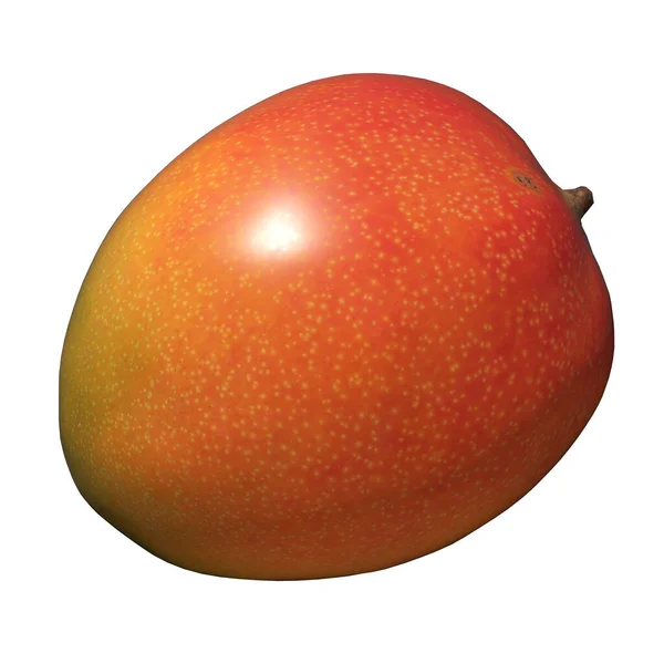 Mango Illustration Isolerad Den Vita Bakgrunden — Stockfoto