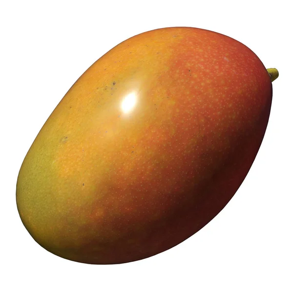 Mango Illustration Isoliert Auf Weißem Hintergrund — Stockfoto