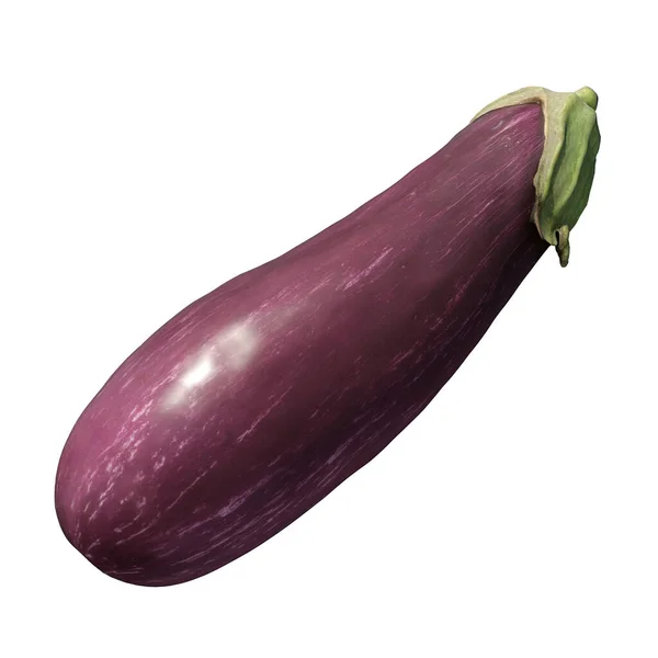 Eggplant Ilustração Isolado Fundo Branco — Fotografia de Stock