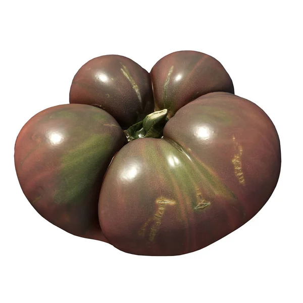 Ilustracja Pomidora Izolowana Białym Tle — Zdjęcie stockowe