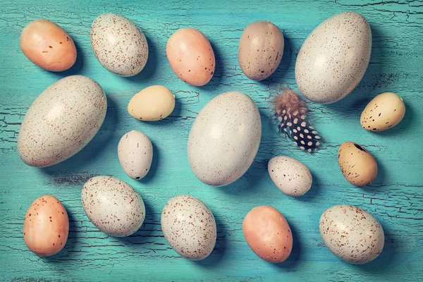 Easter eggs on a blue background — Stock Photo, Image
