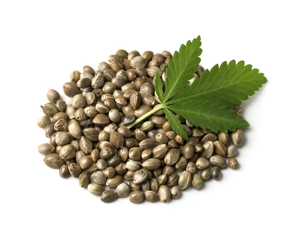 Hemp seeds with a green leaf — Stock Photo, Image