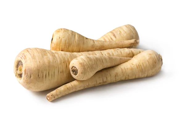 Fresh parsnip roots — Stock Photo, Image