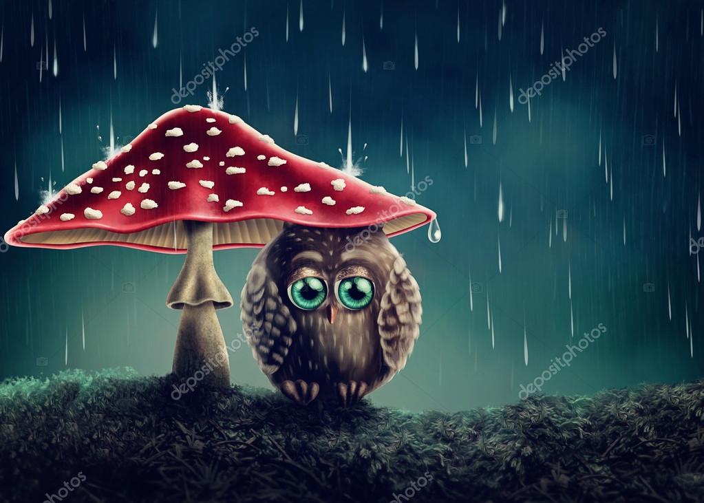 Little owl under mushrooms Stock Photo by ©Elena Schweitzer 106943018