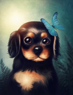 küçük köpek yavrusu