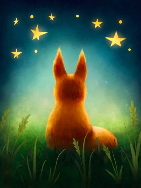 Little Cute Red Fox Staring Stars — Stock Photo, Image